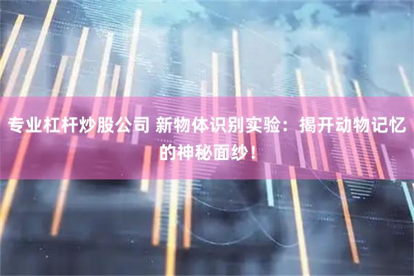 专业杠杆炒股公司 新物体识别实验：揭开动物记忆的神秘面纱！